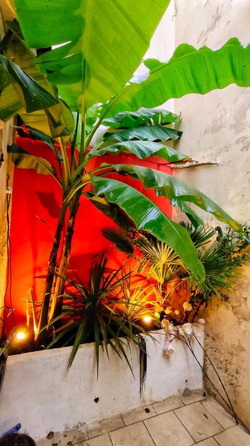 ניורט Votre Escale Jungle Sauna & Spa מראה חיצוני תמונה